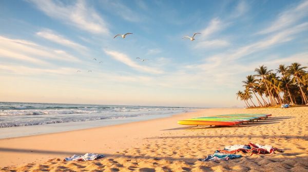 Top 5 tablas de paddle surf ideales para tu escapada marina